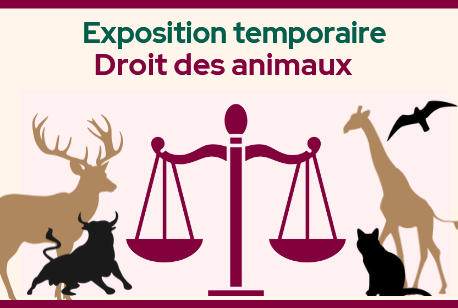 Affiche expo droit des animaux pour site web